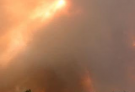 澳大利亚山火背后真的有害群之马 共有180人涉嫌纵火